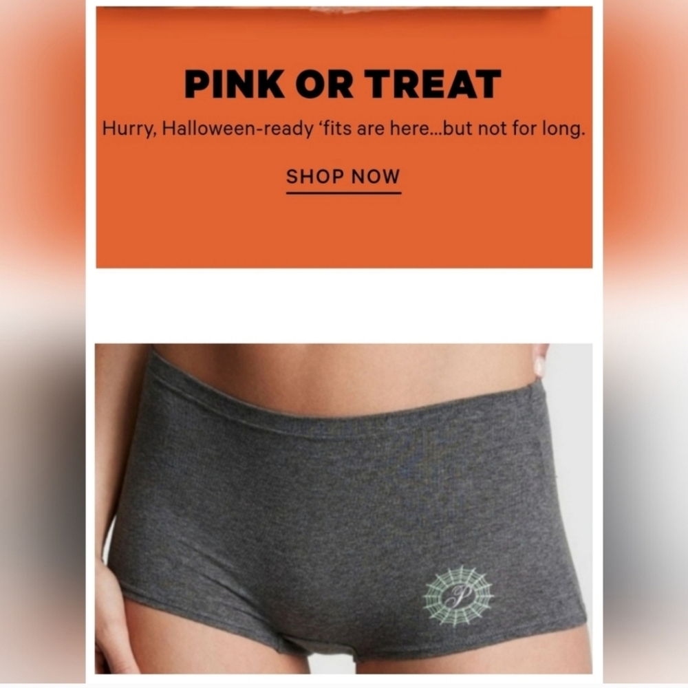 Victorias secret pink cotton boyshort spider panty halloween XXL GRAY